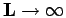 ${\bf L}\rightarrow\infty$